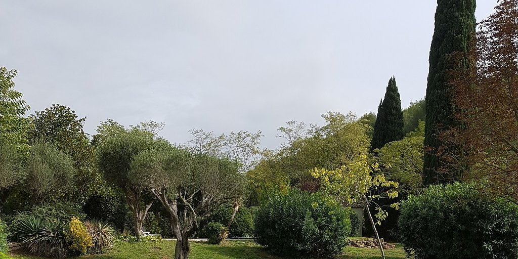 Sébastien TAROZZI : Entretien PARCS et JARDINS